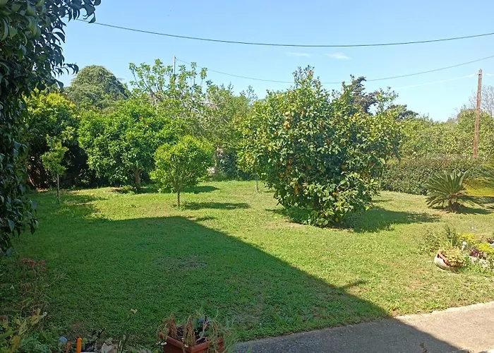 Villa Dani